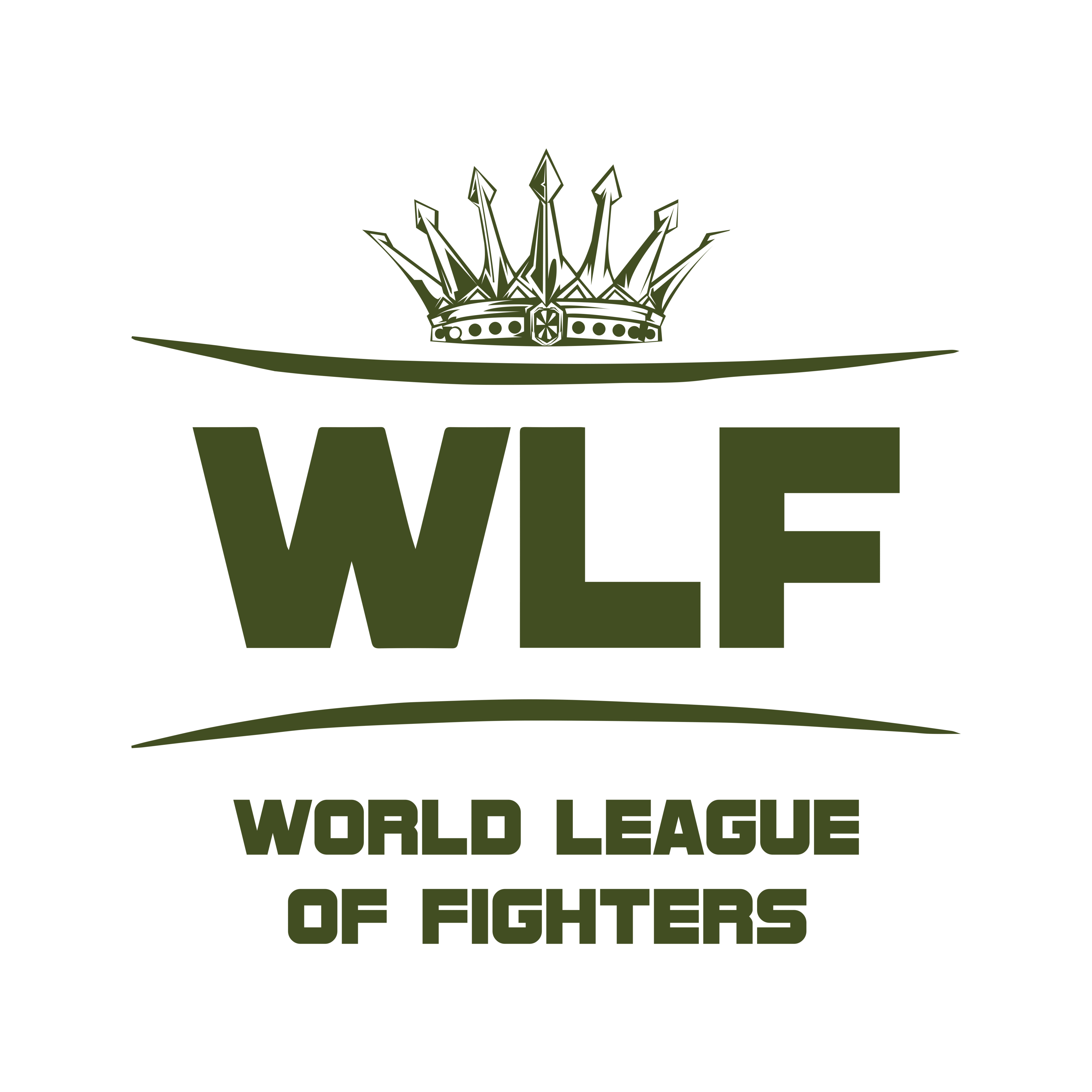 WORLD LEAGUE OF FIGHTERS